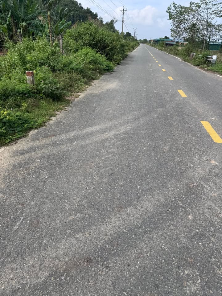 Đất nền đường DH 97, thị trấn Cát Tiên, 800m² - Địa điểm lý tưởng để đầu tư!