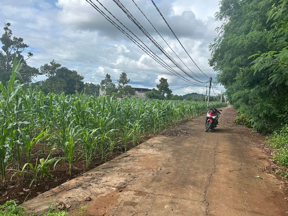 Đất nền Thôn 3 Cư Suê, 120m² giá 445 triệu - Cơ hội đầu tư hiếm có!