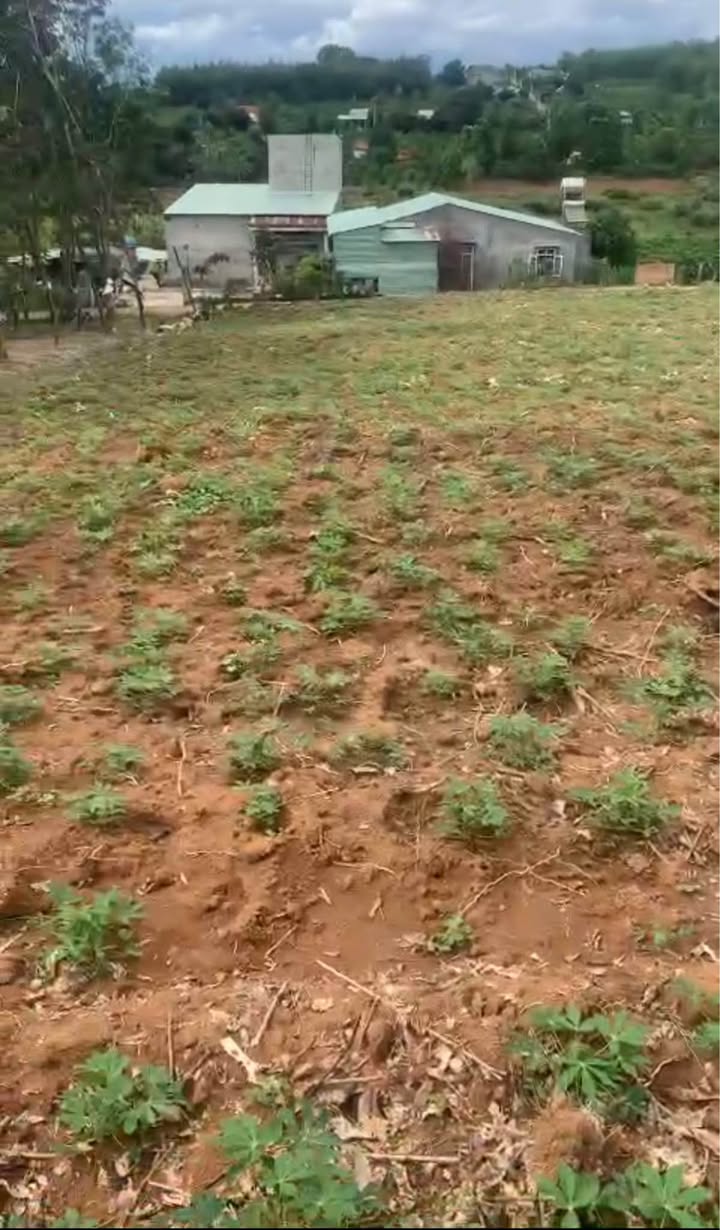 Đất nền 2 sào tại xã Đắk Năng, Kon Tum - Cơ hội đầu tư hấp dẫn chỉ 655 triệu!