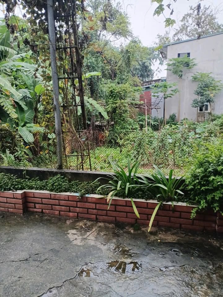 Đất thổ cư Vân Cơ - Việt Trì 101,2m² giá 2,4 tỷ - Đường ô tô tránh