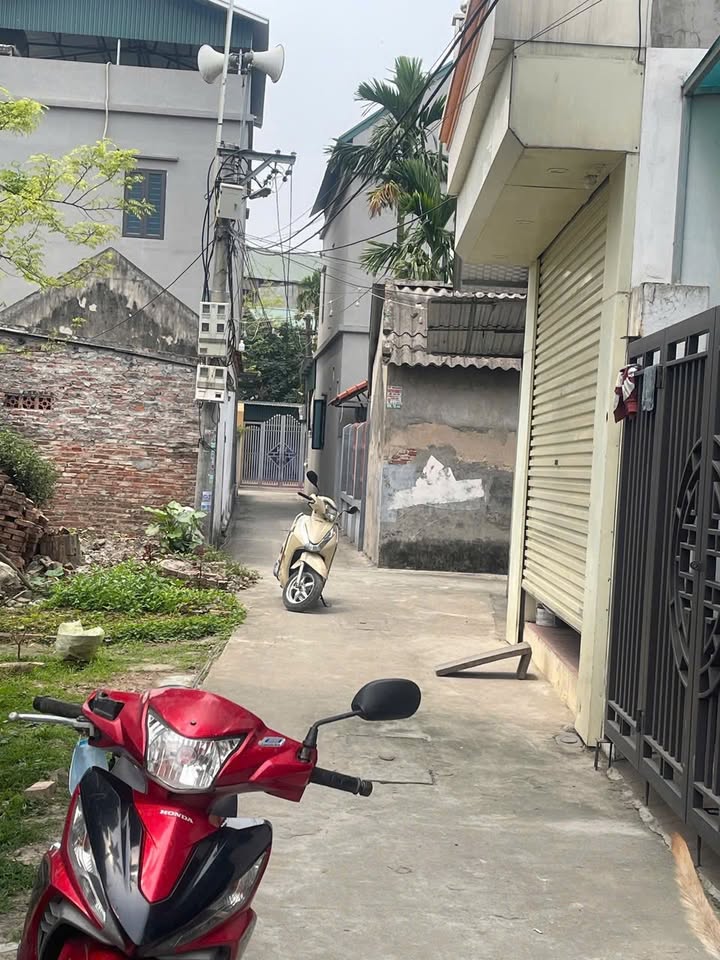 Lô đất 100m² tại TDP An Tháp, Mỹ Hào - Đầu tư sinh lời ngay!