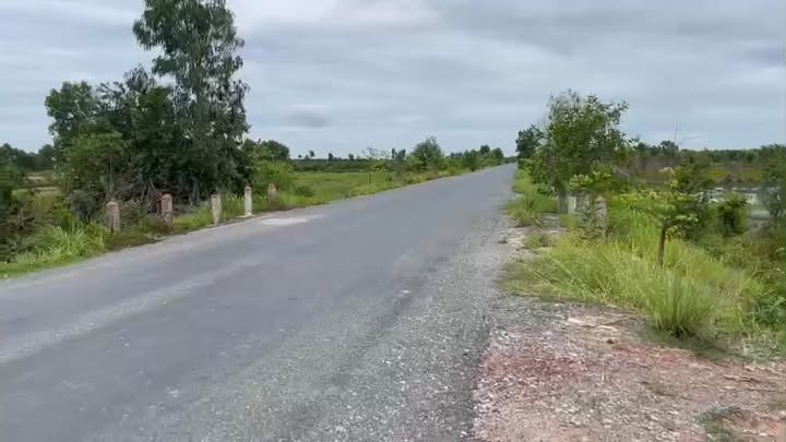 Đất quy hoạch SKC 46.000m² tại xã Mỹ Thạnh Đông, Đức Huệ giá 17 tỷ - Tiềm năng đầu tư lớn!