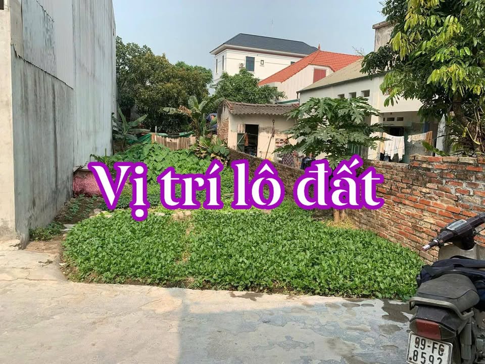 Đất nền Lai Cách, Cẩm Giàng 86m² giá 1.58 tỷ - Cần bán gấp!