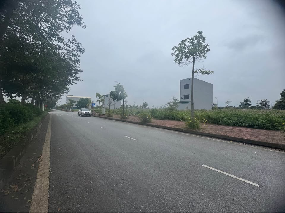 Đất nền TNR Star Tân Trường 100m² giá 4 tỷ - Vị trí đẹp, đầu tư sinh lời!