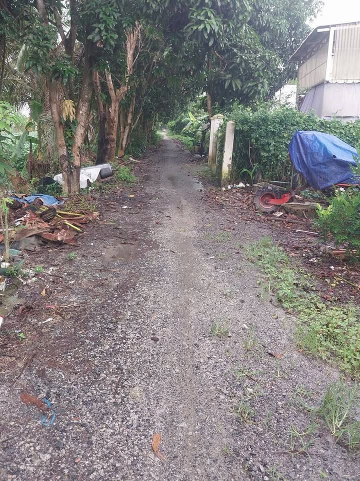 Đất vườn 15.000m² xã Vĩnh Nhuận, Châu Thành, An Giang - Góc 2 mặt tiền, giá chỉ 2 tỷ!