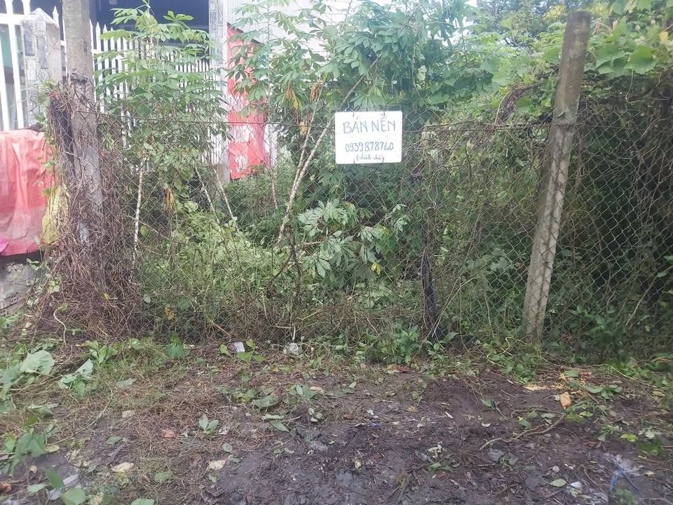 Đất mặt tiền 210,9m² tại Phú Thuận, Thoại Sơn - Sổ hồng sẵn, giá chỉ 800 triệu!