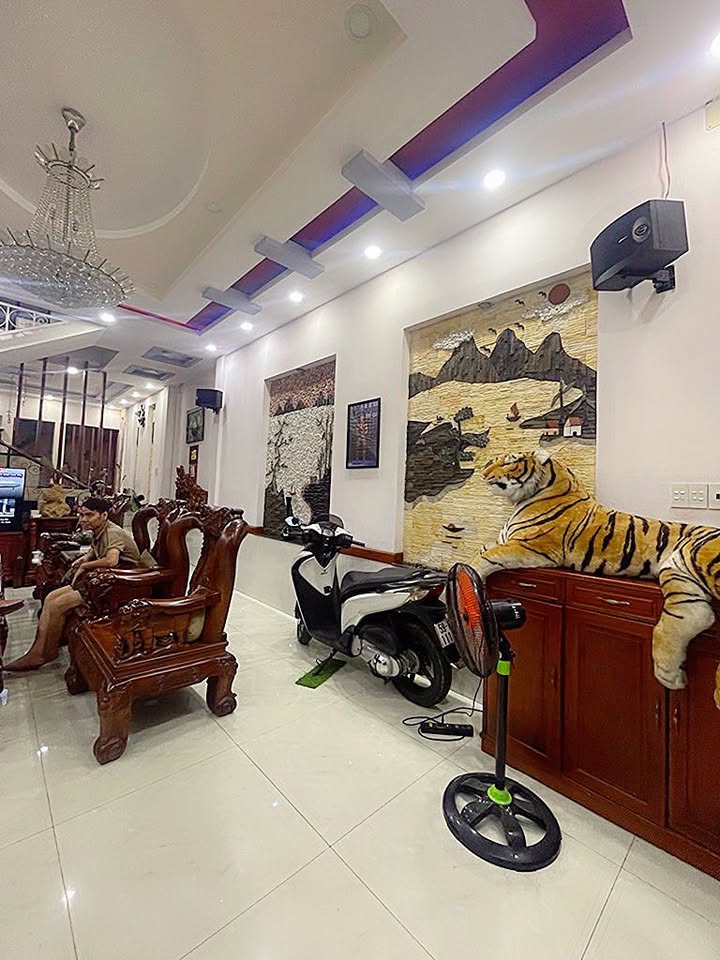 Nhà mặt tiền đường Số 10, Bình Hưng Hòa, 100m² giá 1.2 tỷ - Đầu tư sinh lời ngay!