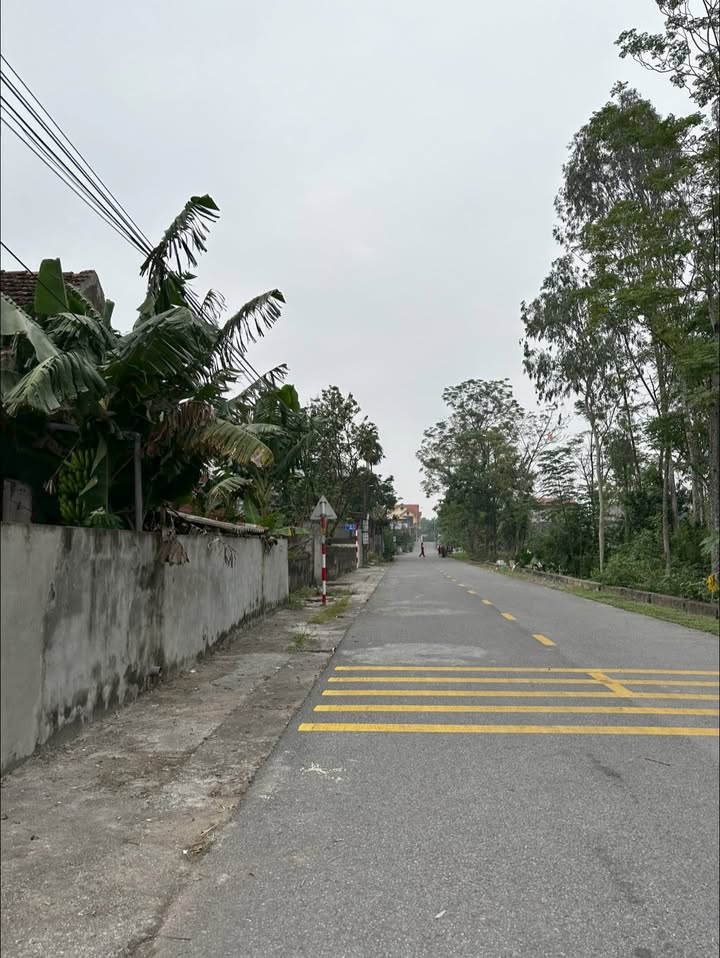 Đất nền Yên Nam, Duy Tiên 83m² giá chỉ 19xx triệu - Cơ hội vàng cho nhà đầu tư!