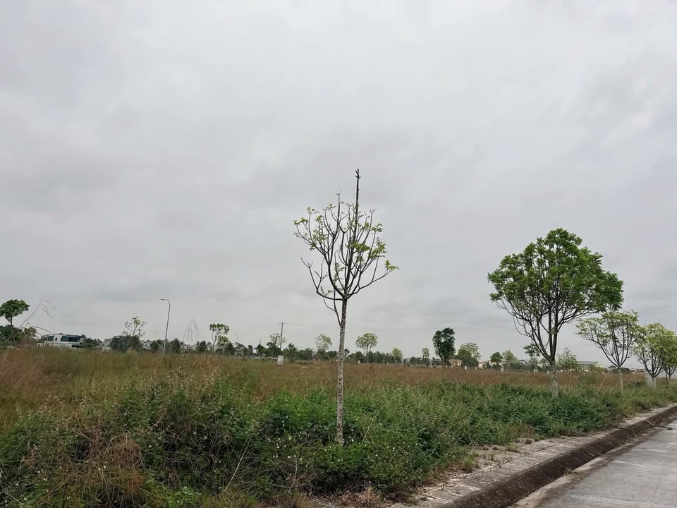 Đất nền Quảng Phú 100m² giá 2 tỷ - Vị trí đắc địa cho đầu tư!