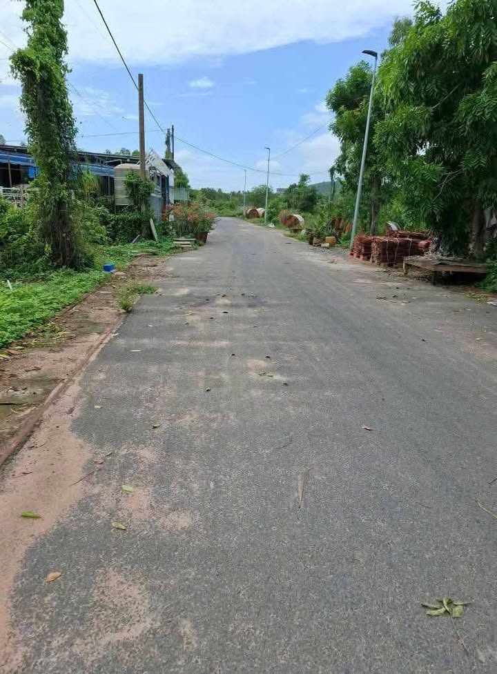 Bán đất mặt tiền đường nhựa An Ngãi 270m² giá 1.95 tỷ - Cơ hội đầu tư tuyệt vời!