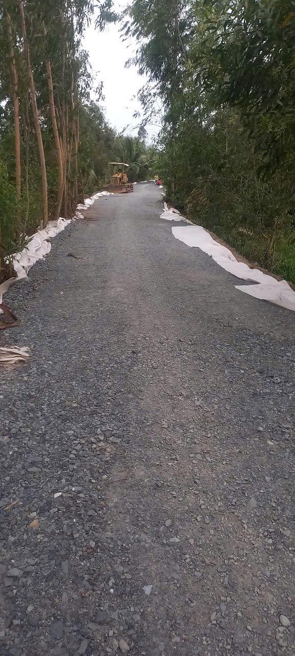 Đất thổ cư 10x65m tại xã Phú Mỹ, Tân Phước - Cơ hội đầu tư 600 triệu!