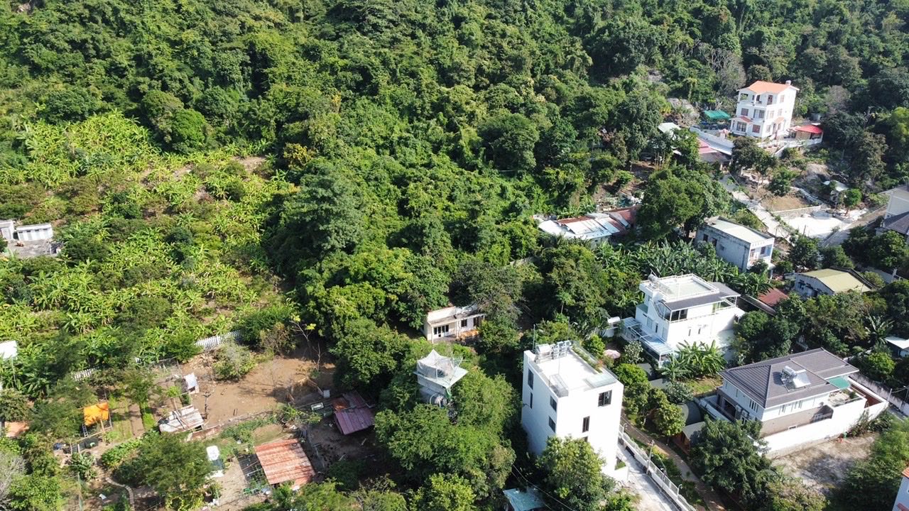 Đất biệt thự 800m² đường Trần Phú, Vũng Tàu - Sở hữu lâu dài chỉ 36 tỷ!