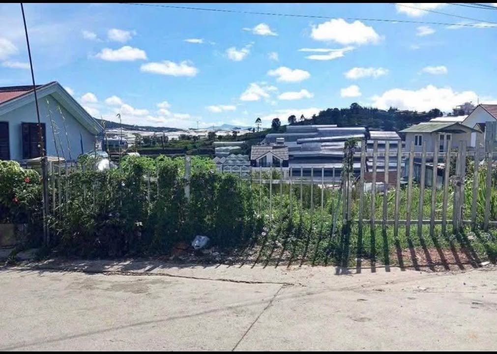 Cho thuê homestay Đà Lạt 4PN giá chỉ 11 triệu - Gần quảng trường, view thoáng mát!