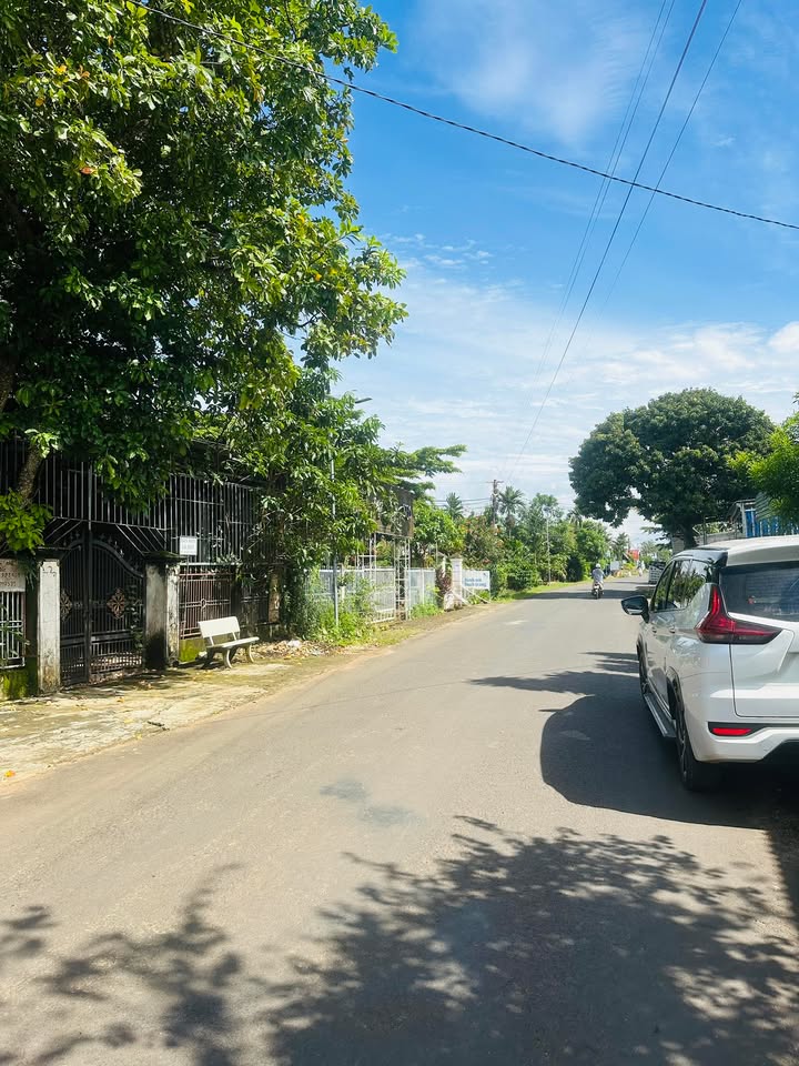 Đất thổ cư 300m² đường Trục 9 Krông Nô giá 1.25 tỷ - Cần bán gấp!