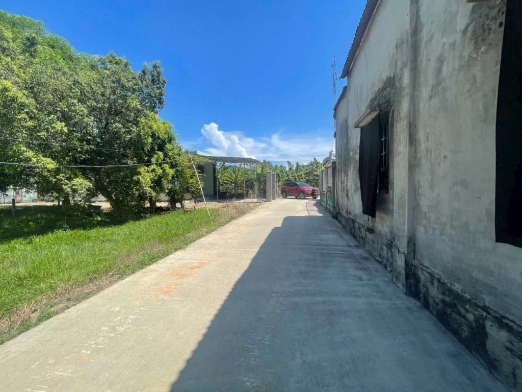 Đất thổ cư 225m² tại trung tâm Đại Hiệp - Cơ hội đầu tư tuyệt vời chỉ 790 triệu!