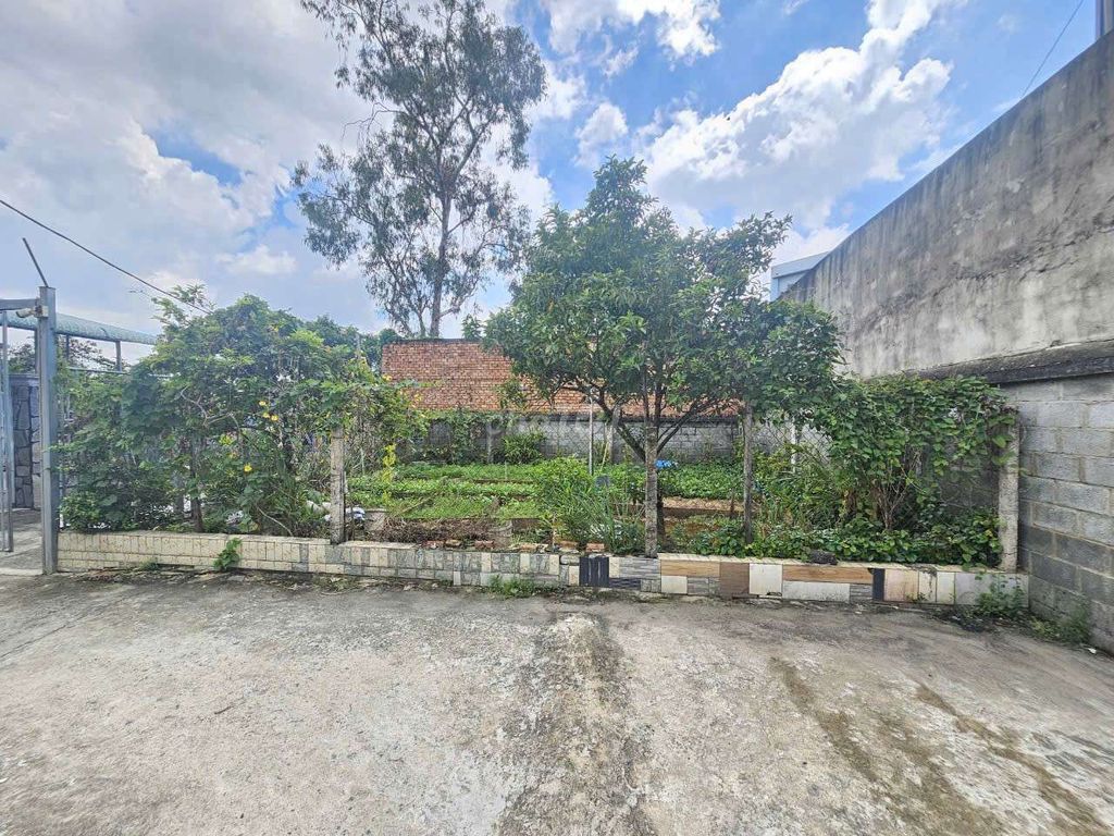 Đất thổ cư đường Thống Nhất, phường Bình An, Dĩ An 101.1m² giá 3.8 tỷ - Đầu tư sinh lời!