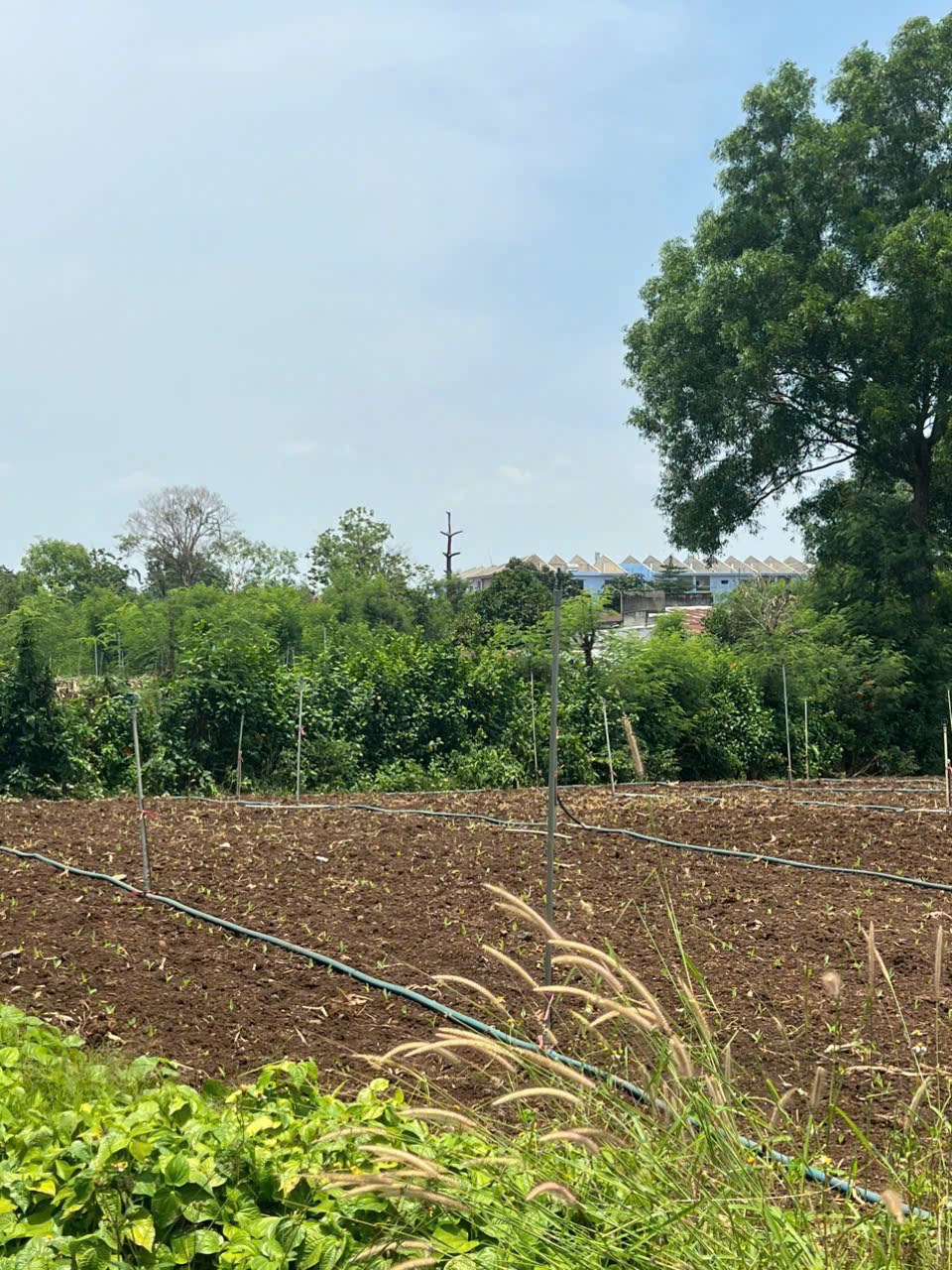 Bán đất nền dự án Xuân Đông, Cẩm Mỹ 7501m² giá 5,3 tỷ - Pháp lý đầy đủ!