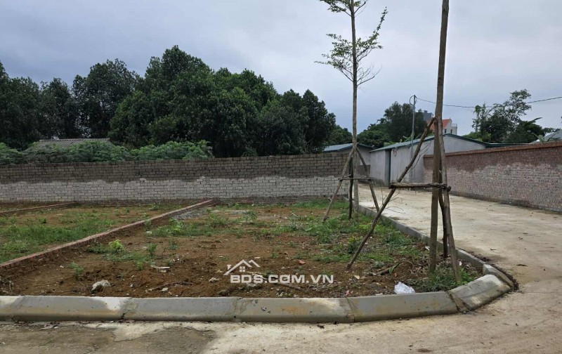 Đất nền Hòa Lạc 100m² giá chỉ từ 3 tỷ - Cơ hội đầu tư tuyệt vời!