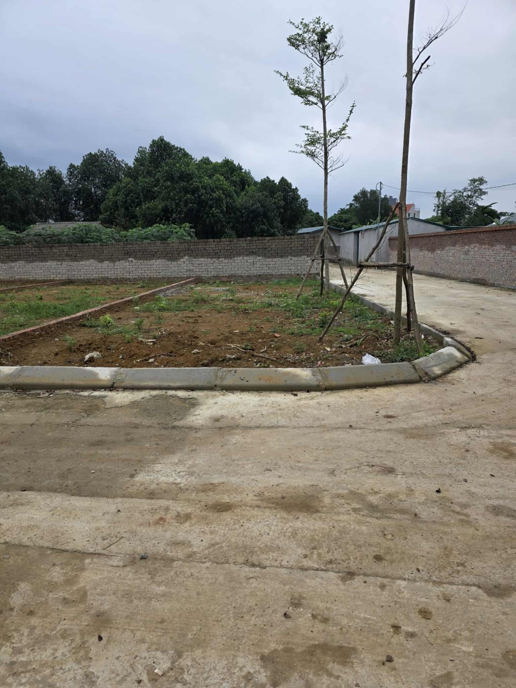 Đất nền Hòa Lạc 100m² chỉ 3 tỷ - Cơ hội đầu tư hấp dẫn!