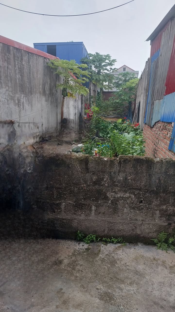 Đất nền 92m² tại Văn Tràng 1, An Lão - Vị trí đắc địa, giá thỏa thuận!