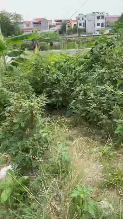 Đất nền Hà Hồi Thường Tín 68-110m² giá chỉ từ 5.88 tỷ - Sổ đỏ chính chủ, vị trí đắc địa!