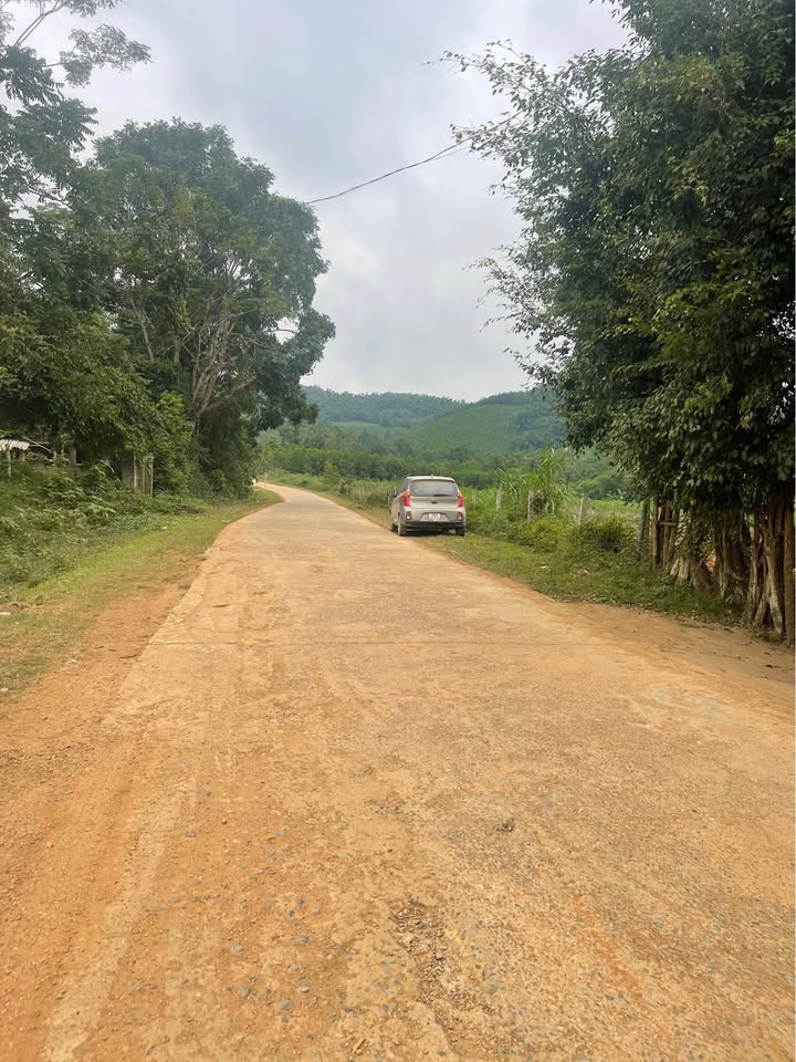 Đất nền tại xã Phúc Thịnh, huyện Ngọc Lặc 460m² giá 500 triệu - Đối diện công ty phân bón!