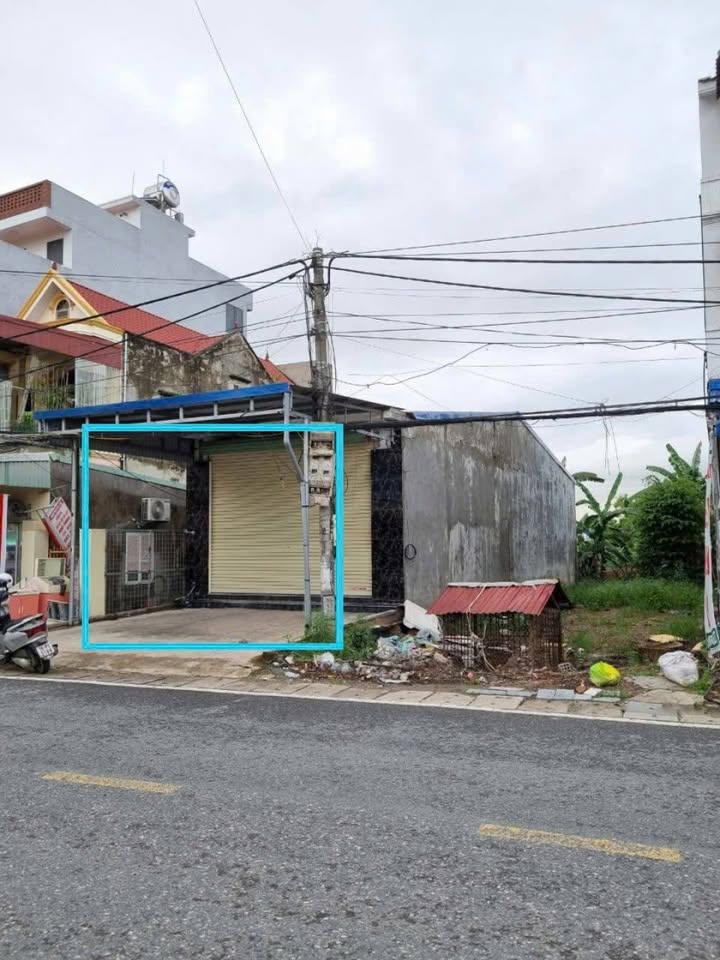 Đất nền Hoa Động Thủy Nguyên 100m² giá 6 tỷ - Tiềm năng kinh doanh lớn!