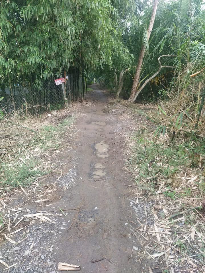 Đất nền 750m² xã Đông Phước, Cần Thơ giá chỉ 380 triệu - Cơ hội đầu tư tuyệt vời!