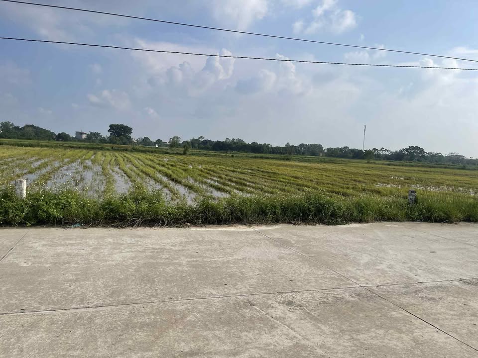 Đất nông nghiệp 18,000m² tại Vân Từ, Phú Xuyên - Vị trí đẹp, sổ đỏ chính chủ!