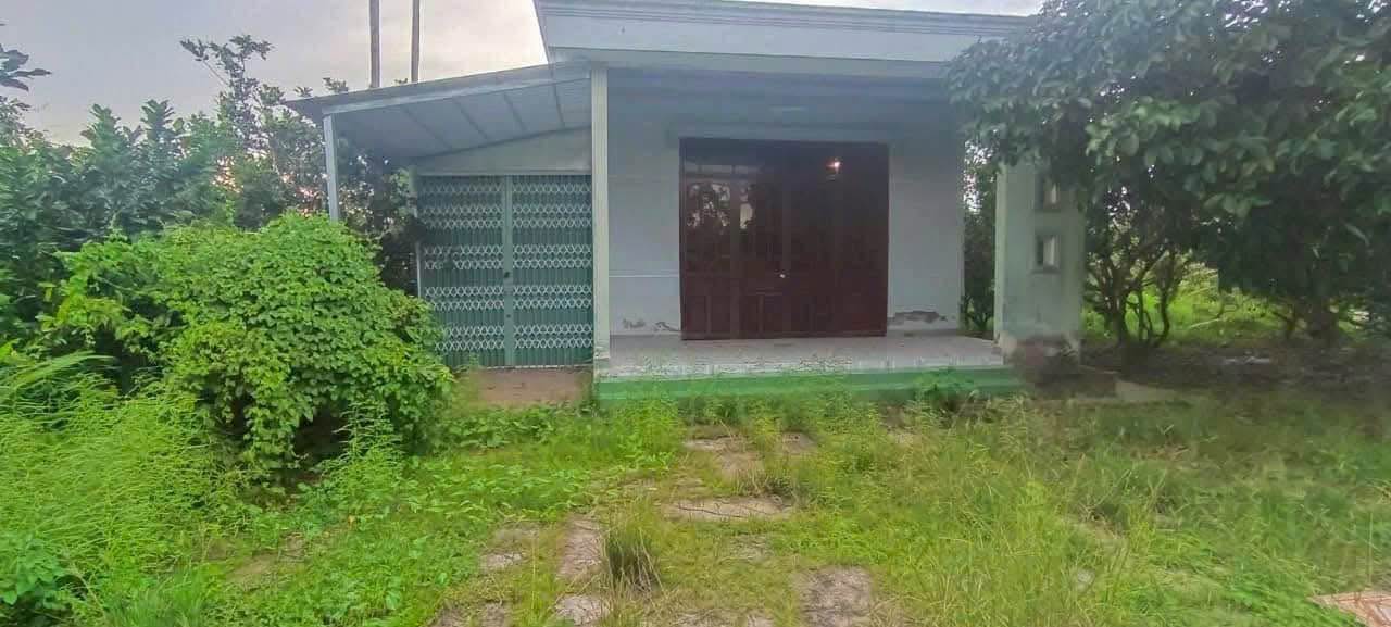 Đất Farm An Khánh Châu Thành 2294m² giá 2,5 tỷ - Đầu tư sinh lời ngay!