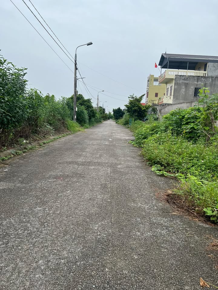 Đất Tái định cư Tân Viên An Lão 100m² giá 1 tỷ - Đầu tư sinh lời cao!