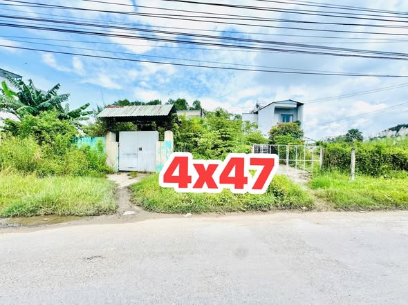 Front House Mặt Tiền Nguyễn Văn Dương, Đức Hòa 188m² giá 2.05 tỷ - Cơ hội vàng đầu tư!