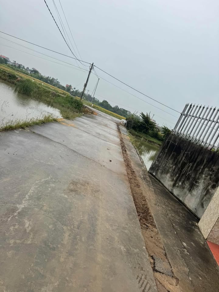 Đất nền Cấp Tiến, Tiên Lãng 125m² chỉ 1 tỷ - Đầu tư sinh lời ngay!