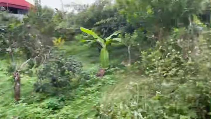 Mảnh vườn nghỉ dưỡng Tân Quang, Lục Ngạn 2130m² giá 1.75 tỷ - Cơ hội đầu tư tuyệt vời!