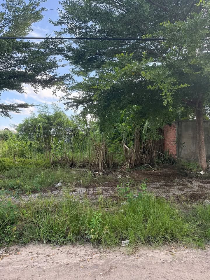 Đất nền đường Tân Hưng, Khu Đô Thị Hoàng Tâm Cà Mau 140m² giá 1.1 tỷ - Sổ hồng chính chủ!