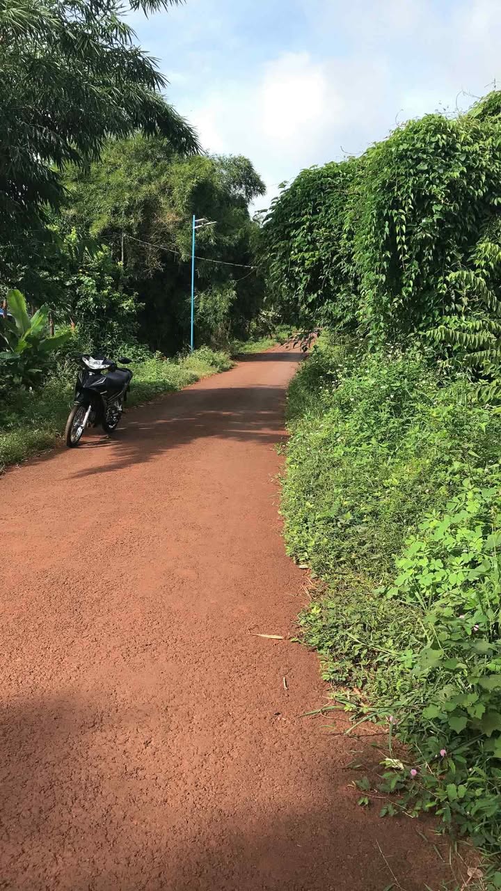 Đất nền Lộc An 10.800m² giá 600 triệu - Đường thông thoáng, dân cư đông đúc!