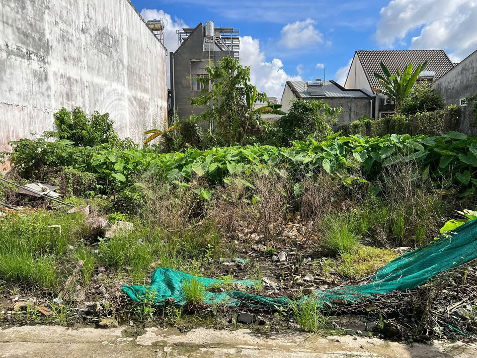 Đất nền thổ cư Phước Hậu Vĩnh Long 160m² giá 2.8 tỷ - Vị trí đắc địa, tiện ích đầy đủ!