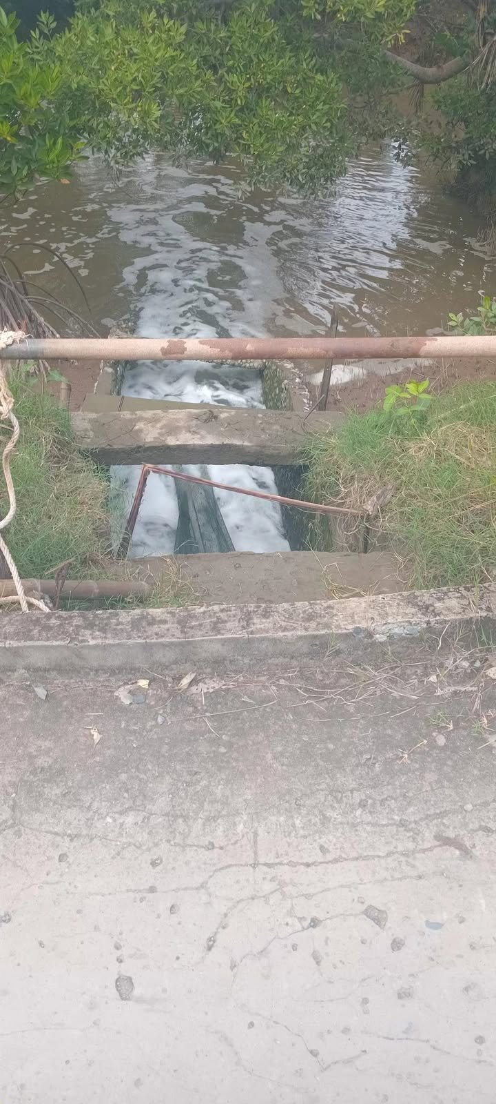 Đất nền đẹp Trường Long Hòa Vĩnh Long 32.300m² giá 5.512 tỷ - Tiềm năng phát triển lớn!