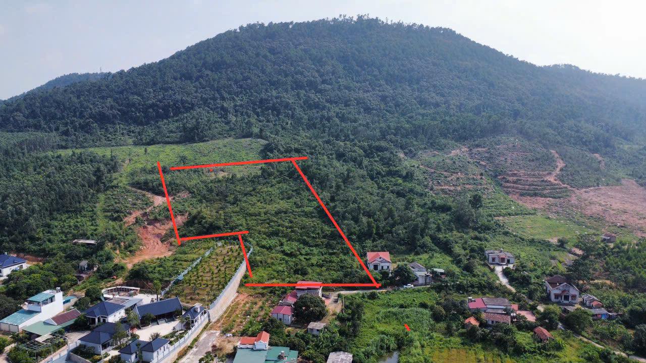 Đất nghỉ dưỡng Chí Linh 7000m² - Lưng tựa núi, hướng thuỷ tuyệt đẹp!