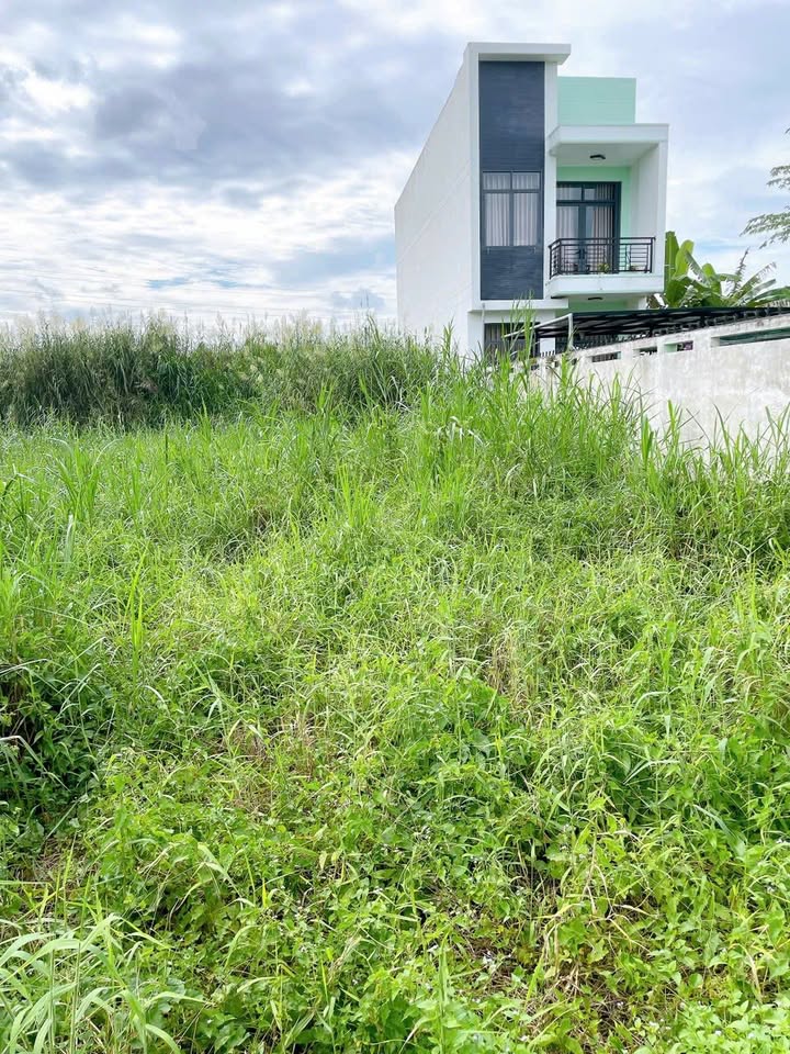 Đất nền Tân Ngãi, Vĩnh Long 183.5m² chỉ 750 triệu - Cơ hội đầu tư tốt!