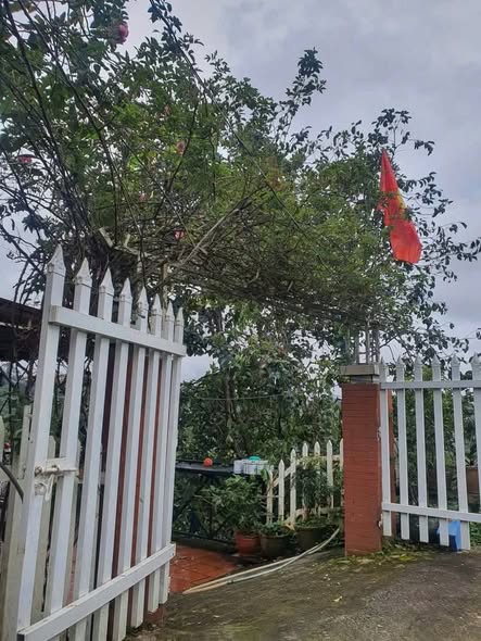 Nhà cho thuê đường Khởi Nghĩa Bắc Sơn, Đà Lạt 872m² - View chill, sân vườn rộng rãi!