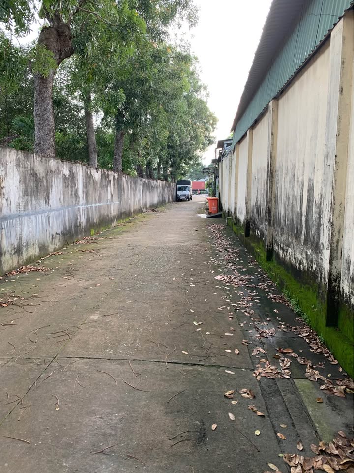 Đất sạch Phước Hoà 160m² giá chỉ 1 tỷ - Gần quốc lộ 51, thuận lợi kinh doanh!