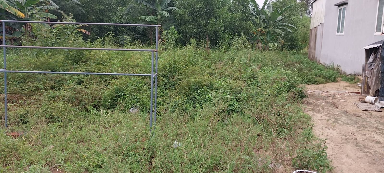 Đất nền Quảng Phú 71.5m² giá 600 triệu - Đầu tư sinh lời ngay!