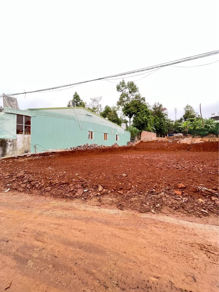 Đất Hẻm 246 Phù Đổng, Phường Hoa Lư 590m² chỉ 3 tỷ - Cơ hội đầu tư tuyệt vời!