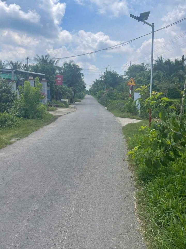 Đất mặt tiền đường nhựa Đê Tây, xã Thới Lai, Bến Tre 918m² - Đầu tư sinh lời ngay!