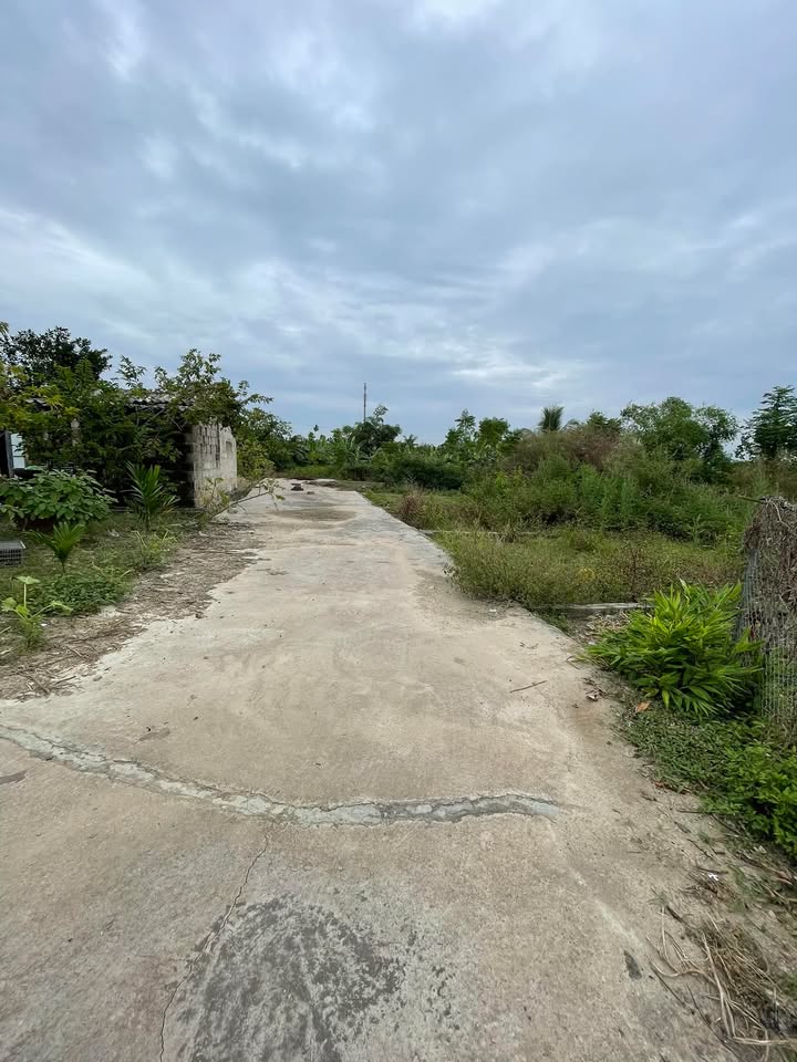 Đất nền Quảng Thanh, Thủy Nguyên 61m² giá chỉ 490 triệu - Cơ hội đầu tư tuyệt vời!