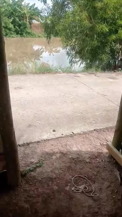 Đất farm 10.000m² xã Vĩnh Điều, giá 950 triệu - Cơ hội đầu tư tuyệt vời!