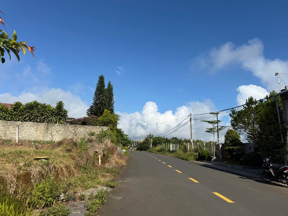 Đất nền Bảo Lộc 294m² giá 2.67 tỷ - Hạ giá 200 triệu ngay mặt tiền đường Nguyễn Trãi!