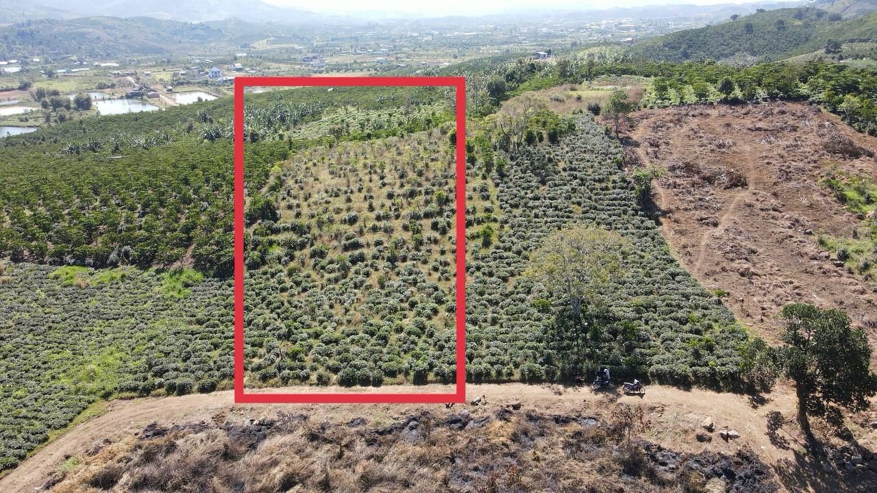 Đất nền Đinh Công Tráng, Bảo Lộc 2828m² giá 2.3 tỷ - Đầu tư sinh lời ngay!