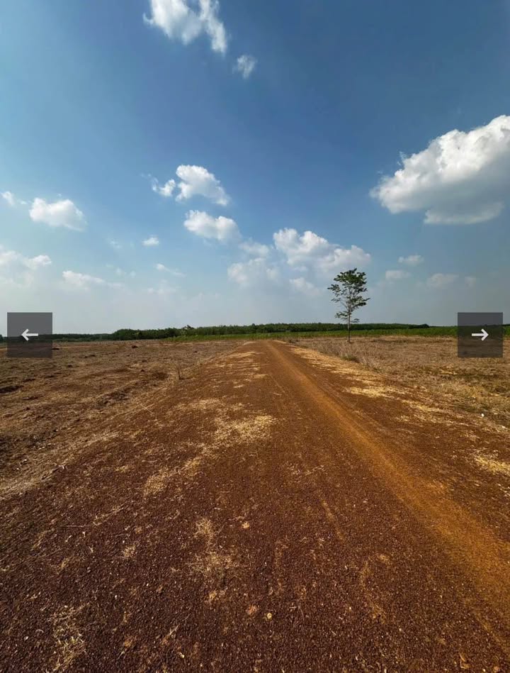 Đất nền Tân Mai, Lộc Ninh, Bình Phước 1000m² giá 570 triệu - Đầu tư sinh lời ngay!